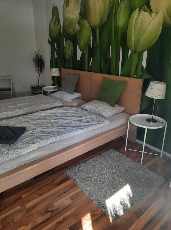 Das Tulpen Apartment 바이덴 암 제 외부 사진