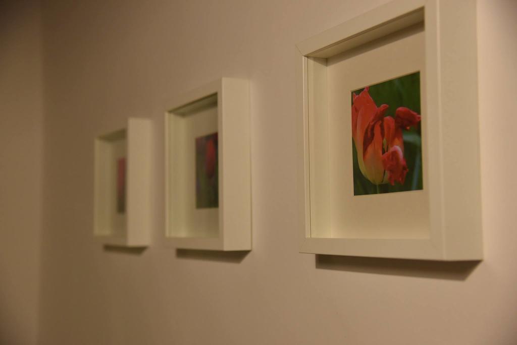 Das Tulpen Apartment 바이덴 암 제 외부 사진